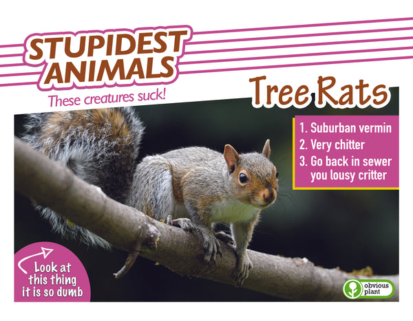 Stupidest Animals - 2025 Calendar