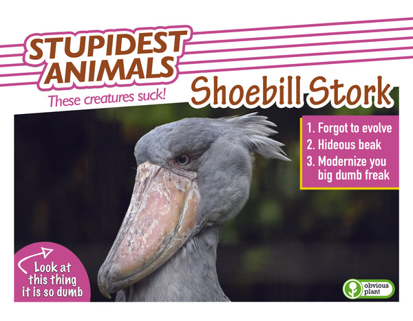 Stupidest Animals - 2025 Calendar