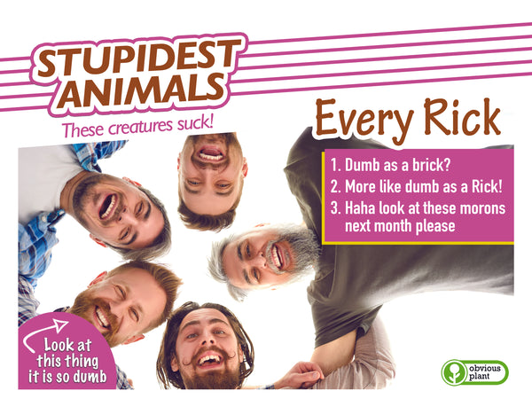Stupidest Animals - 2025 Calendar