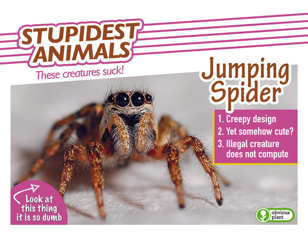 Stupidest Animals - 2025 Calendar