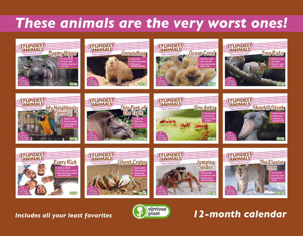 Stupidest Animals - 2025 Calendar
