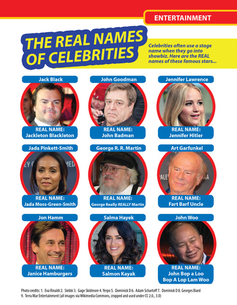 FREE DIGITAL DOWNLOAD - Obvious Plant Magazine