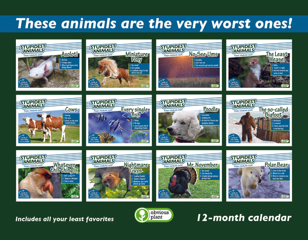 Stupidest Animals - 2024 Calendar