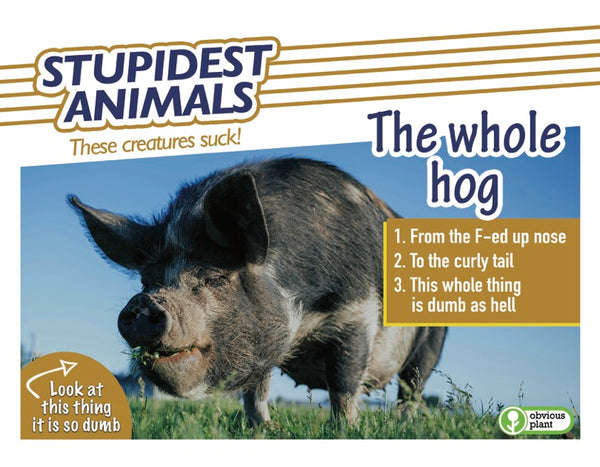 Stupidest Animals - 2026 Calendar