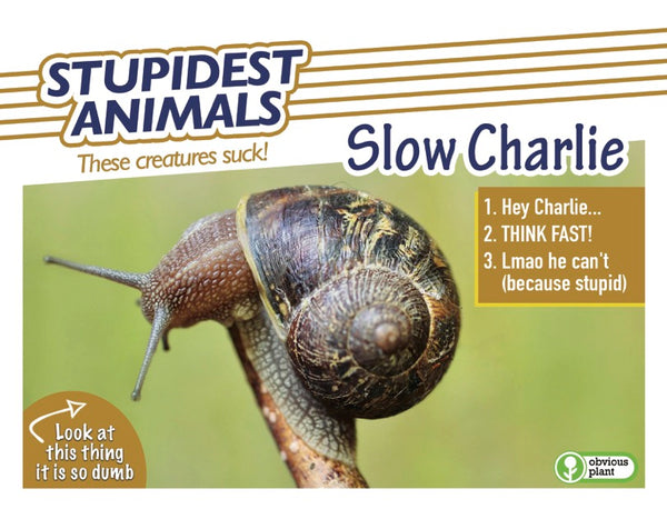 Stupidest Animals - 2026 Calendar