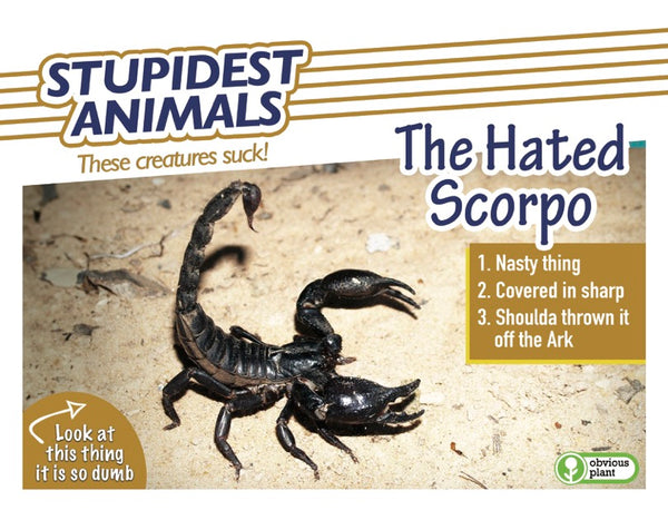 Stupidest Animals - 2026 Calendar