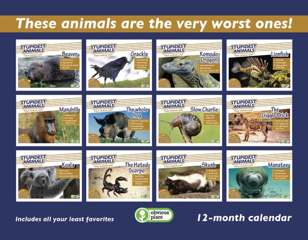 Stupidest Animals - 2026 Calendar