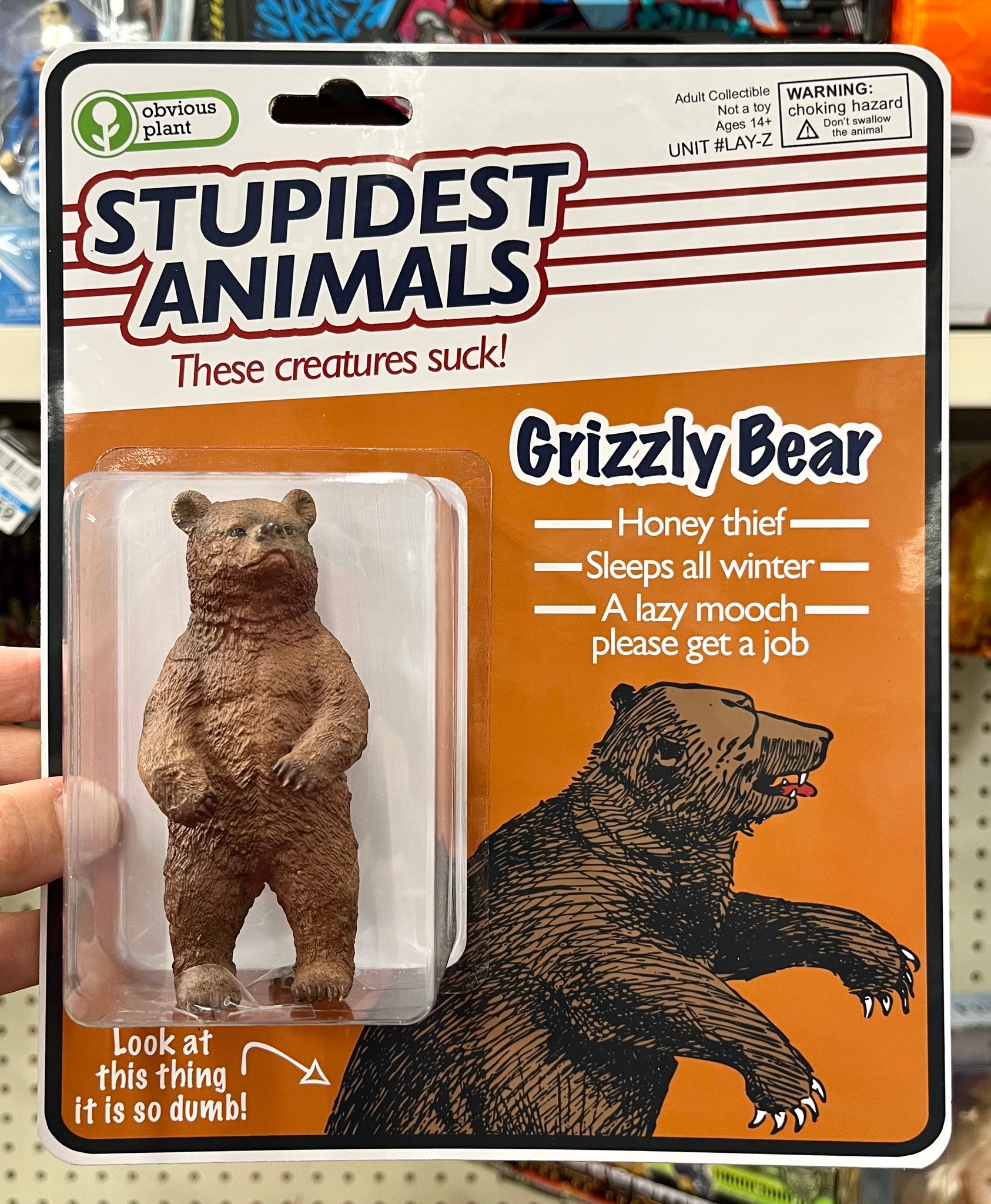 Stupidest Animals - Grizzly Bear