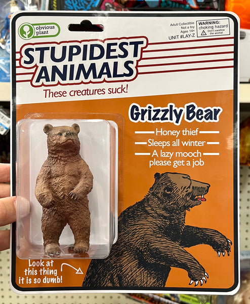 Stupidest Animals - Grizzly Bear