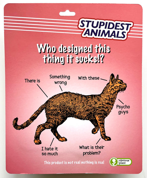 Stupidest Animals - Orange Cats Specifically