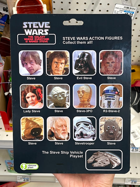 Steve Wars - Landstever