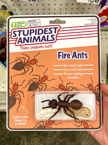 Stupidest Animals - Fire Ants