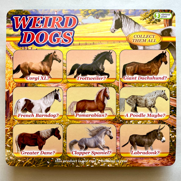 Weird Dogs