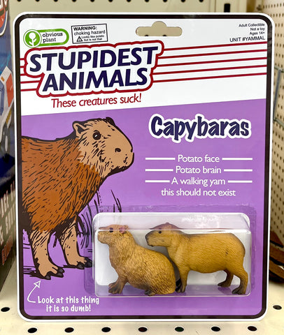 Stupidest Animals - Capybaras