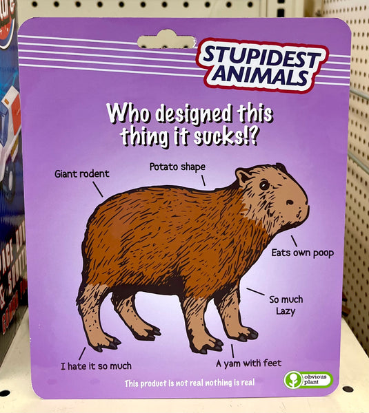 Stupidest Animals - Capybaras