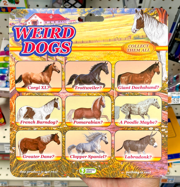 Weird Dogs - Labradonk