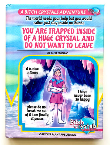 You Are Trapped Inside of a Huge Crystal (Notebook)