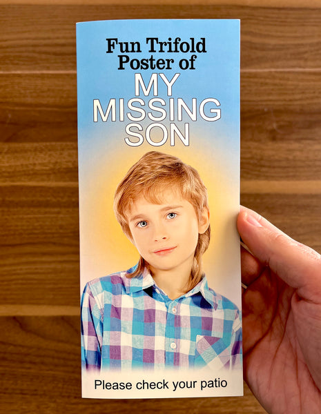Fun Trifold Poster of My Missing Son