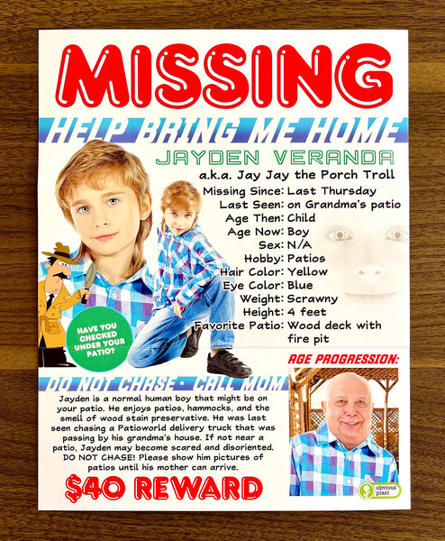 Fun Trifold Poster of My Missing Son