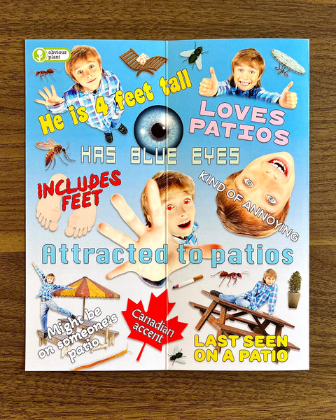 Fun Trifold Poster of My Missing Son