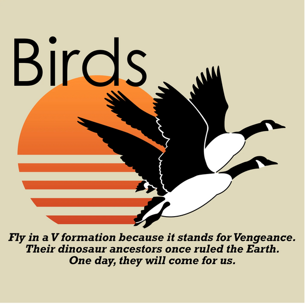Bird Vengeance T-Shirt