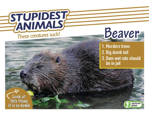 Stupidest Animals - 2026 Calendar
