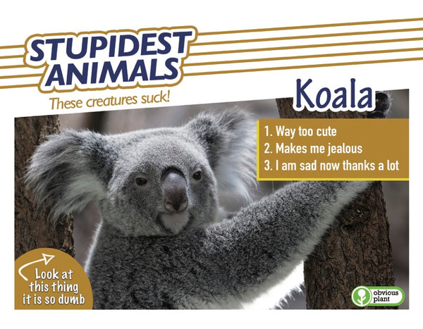 Stupidest Animals - 2026 Calendar