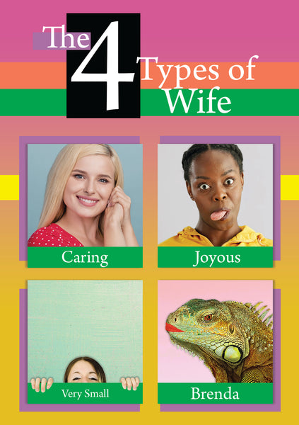 4 Types of Wife - Greeting Card