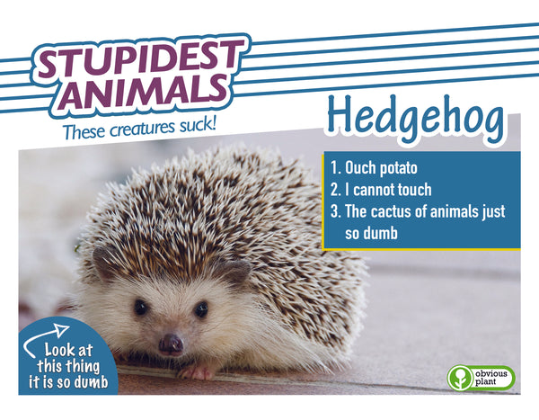 Stupidest Animals - 2023 Calendar