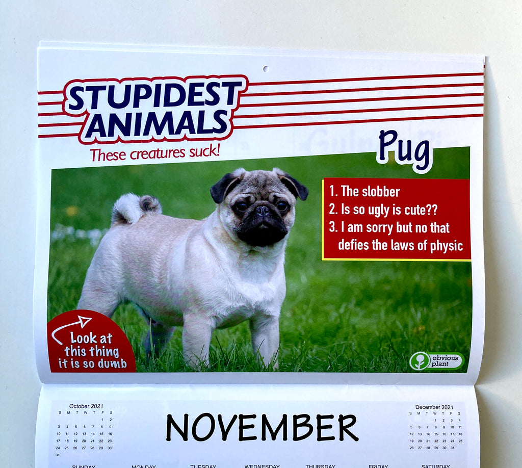 Stupidest Animals 2021 Calendar Obvious Plant