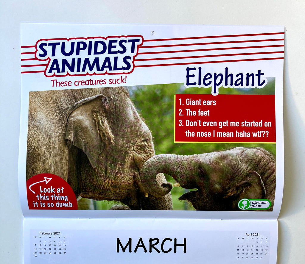 Stupidest Animals 2021 Calendar Obvious Plant