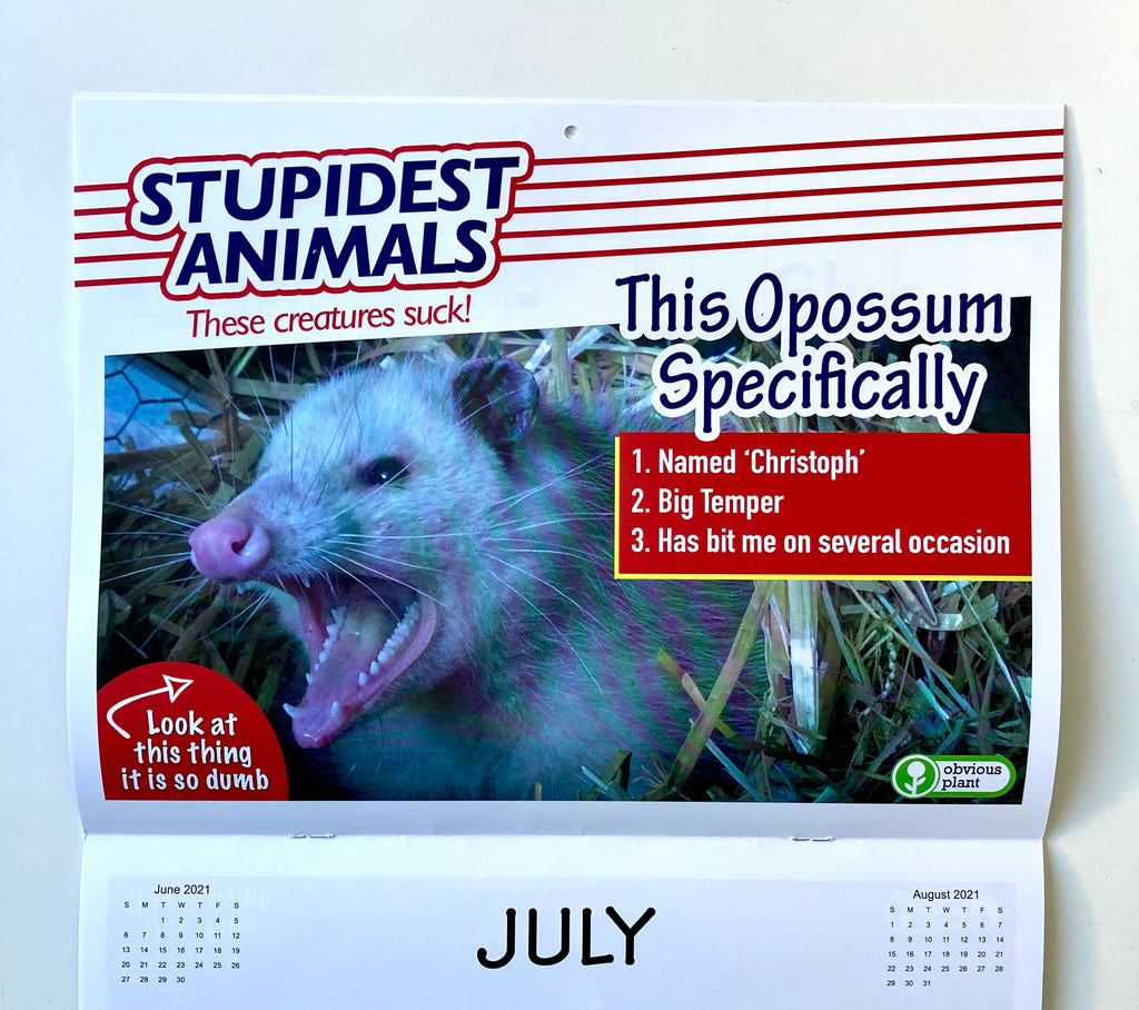 Stupidest Animals 2021 Calendar Obvious Plant