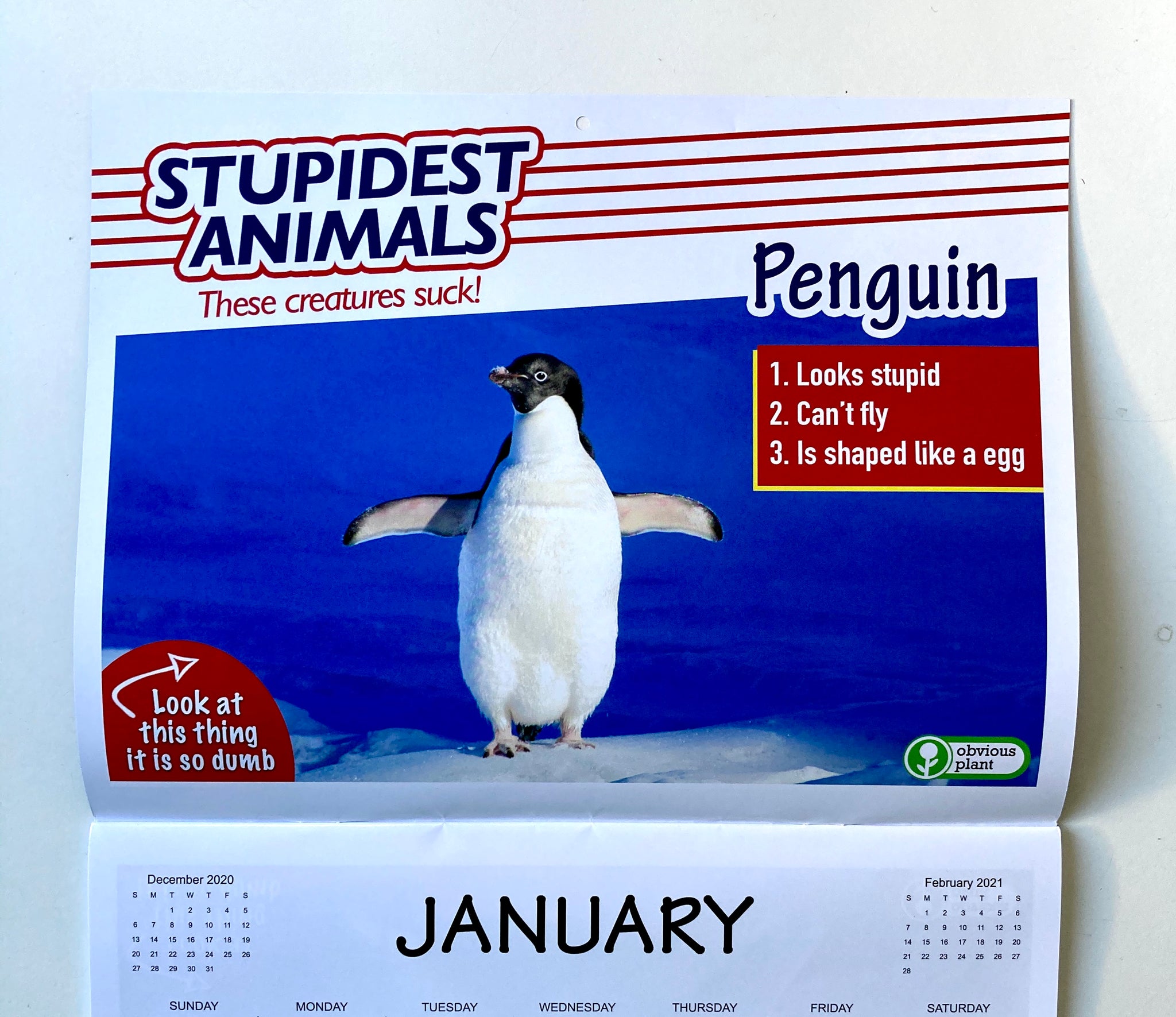 Stupidest Animals 2021 Calendar Obvious Plant