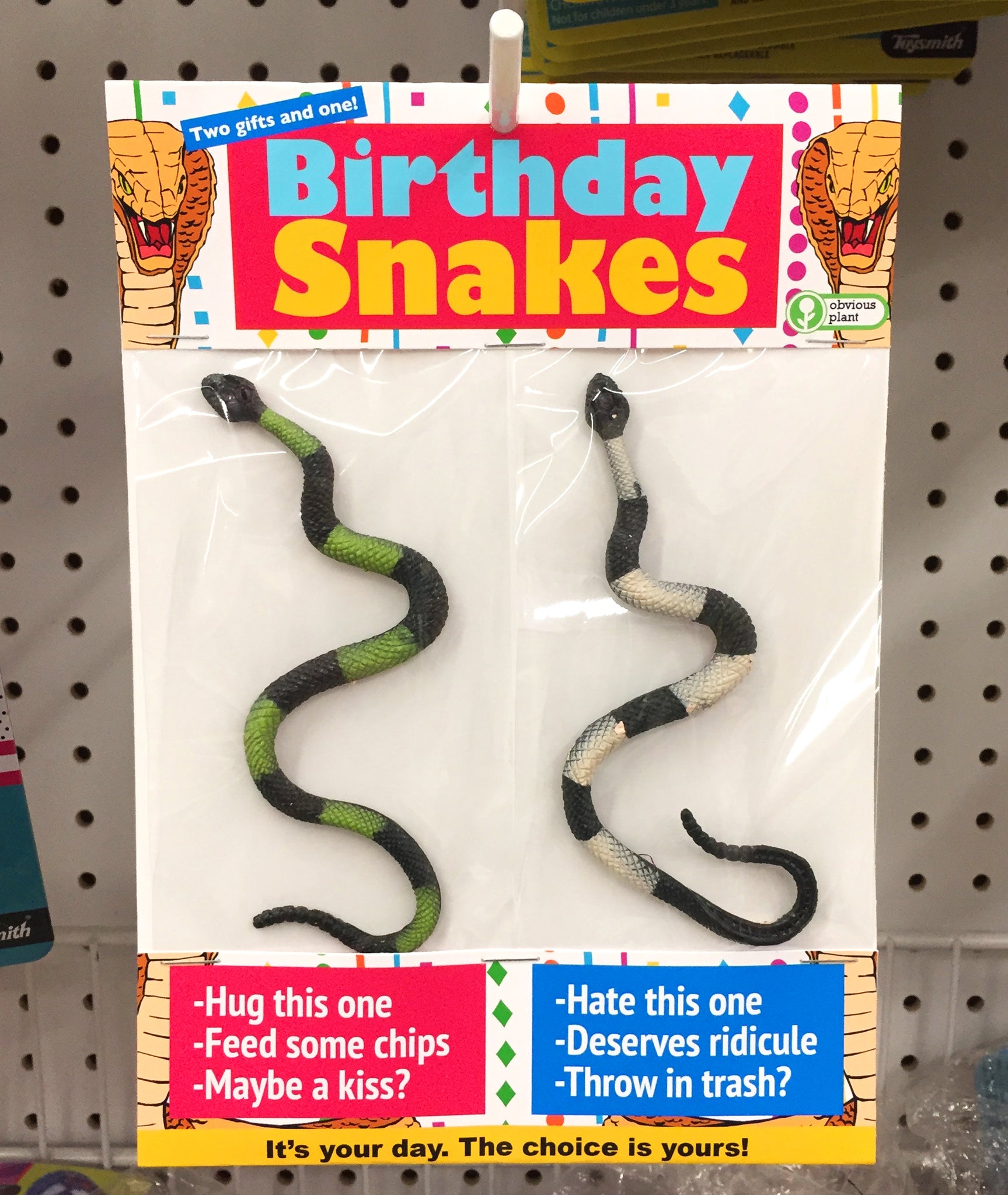 birthday snakes obvious plant Birthday Snakes