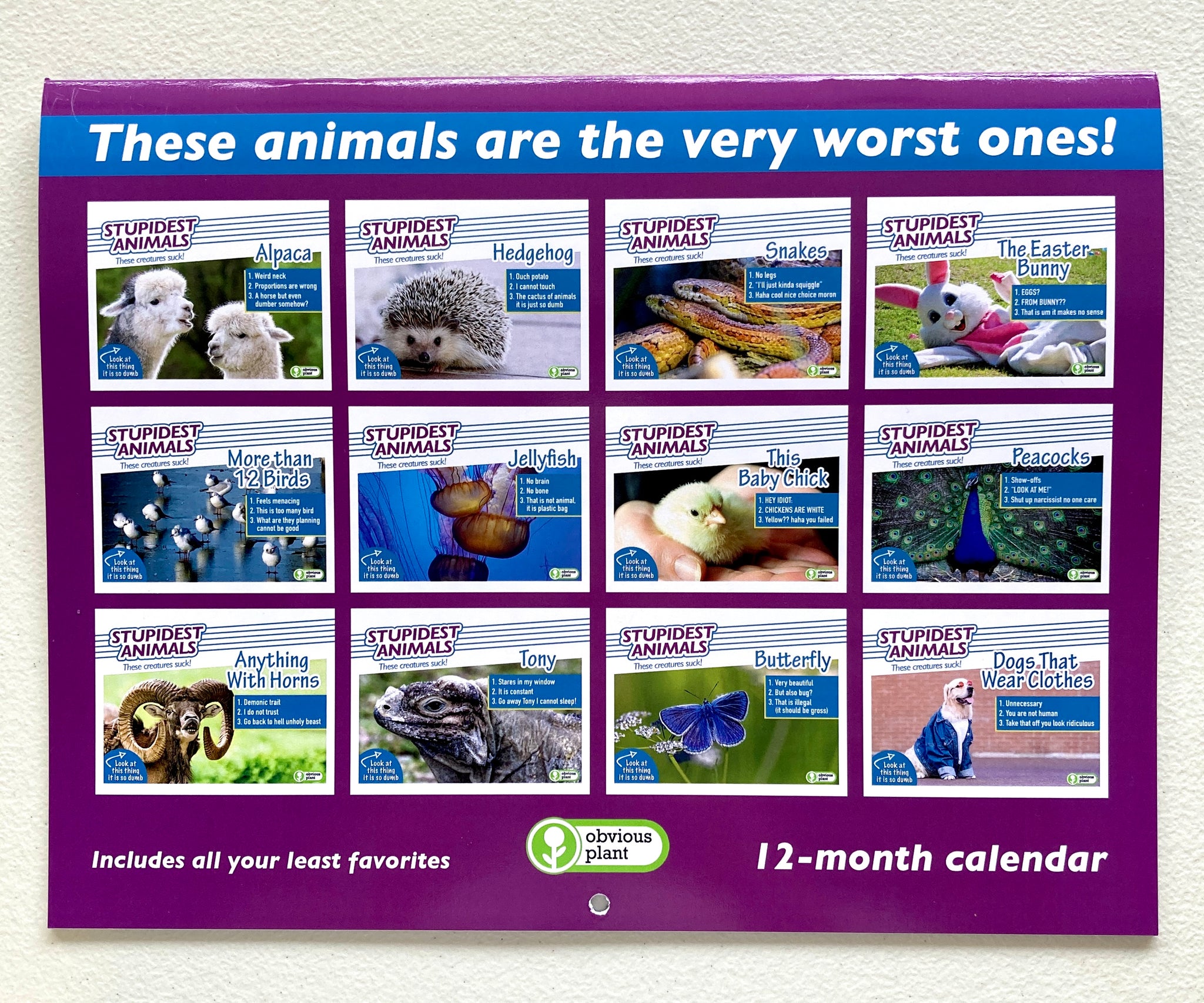 Stupidest Animals 2023 Calendar Obvious Plant
