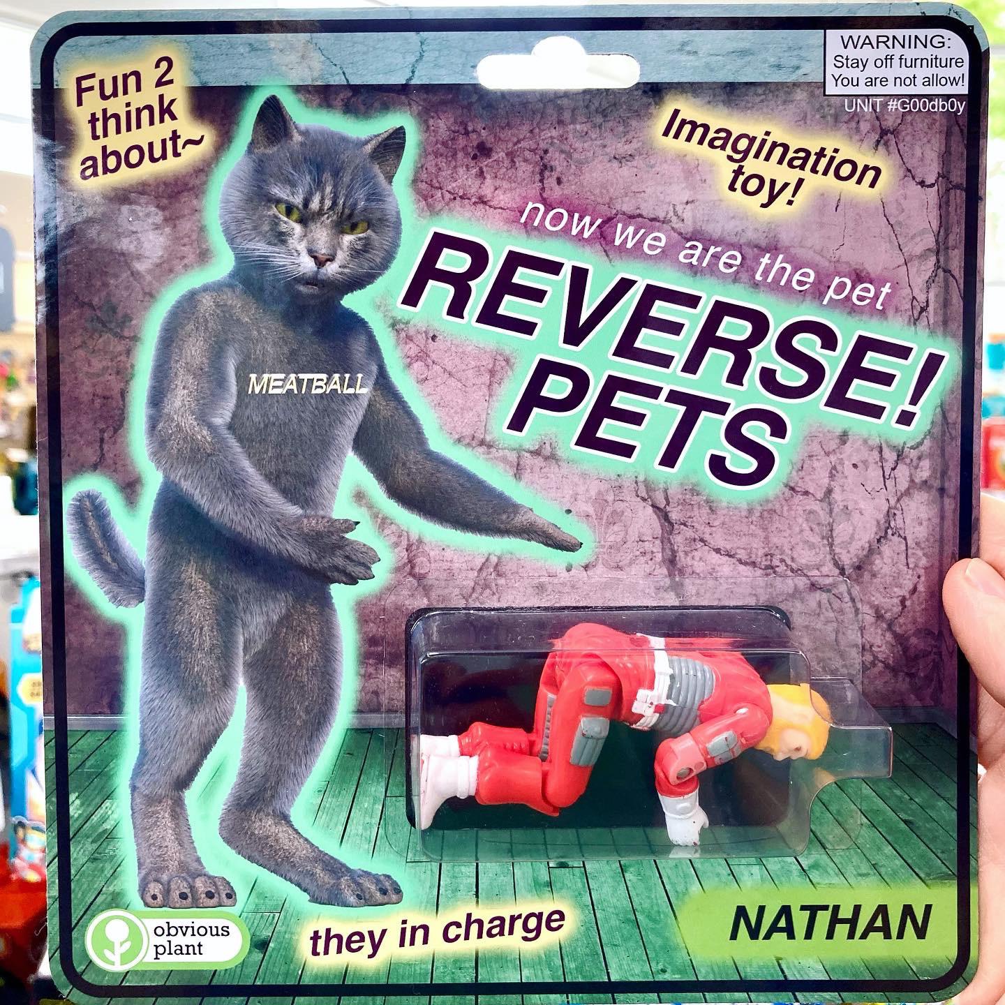 birthday snakes obvious plant Prototypes
